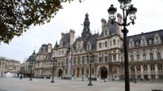 La mairie de Paris met en place un groupe de travail pour étudier la «cohabitation» des Parisiens avec les rats