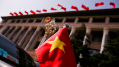 Vietnam: une importante militante écologiste détenue pour évasion fiscale