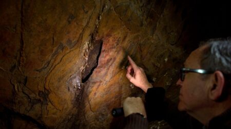 Des gravures de Néandertal vieilles d’au moins 57.000 ans identifiées près de Tours