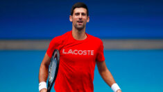 La réussite de Novak ne se limite pas à être le meilleur joueur de tennis de tous les temps