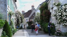 Plus d’un millier de rosiers et seulement 600 habitants à Chédigny: le village est classé «Jardin remarquable»