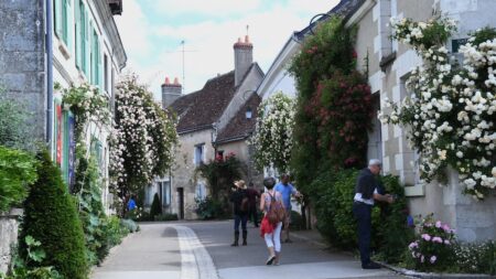 Plus d’un millier de rosiers et seulement 600 habitants à Chédigny: le village est classé «Jardin remarquable»