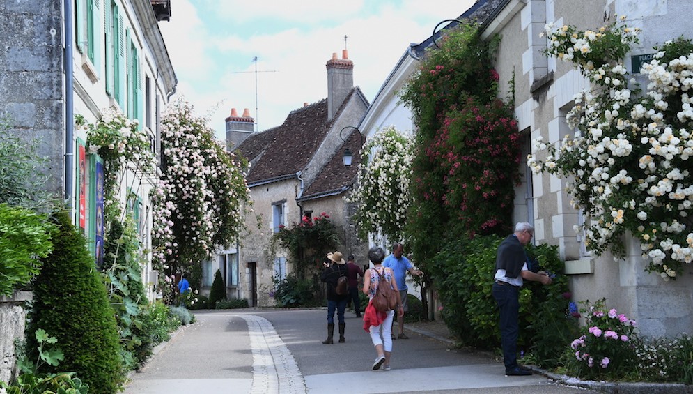 Plus d'un millier de rosiers et seulement 600 habitants à Chédigny: le village est classé «Jardin remarquable»