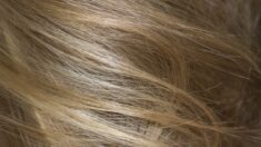Pourquoi les cheveux sont de mauvais témoins des contaminations aux métaux ?