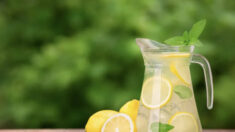 L’eau citronnée : recette minceur, anti-cancer… quelle est la véracité de ces affirmations ?