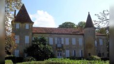 Occitanie: le château qui a vu naître d’Artagnan est toujours en vente