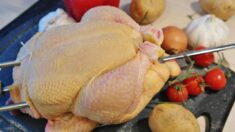 Rappel Conso: présence de listeria dans de nombreux poulets vendus en grande surface