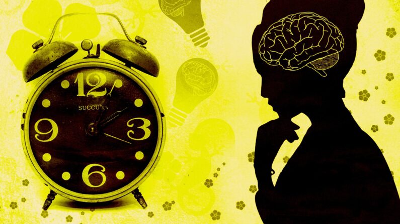 
Notre horloge interne est dirigée entre autre par l'hypothalamus, situé dans le cerveau. Pixabay
