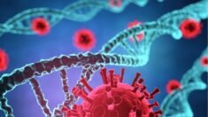 Les vaccins Covid à ARNm pourraient déclencher des «turbo-cancers», selon des experts