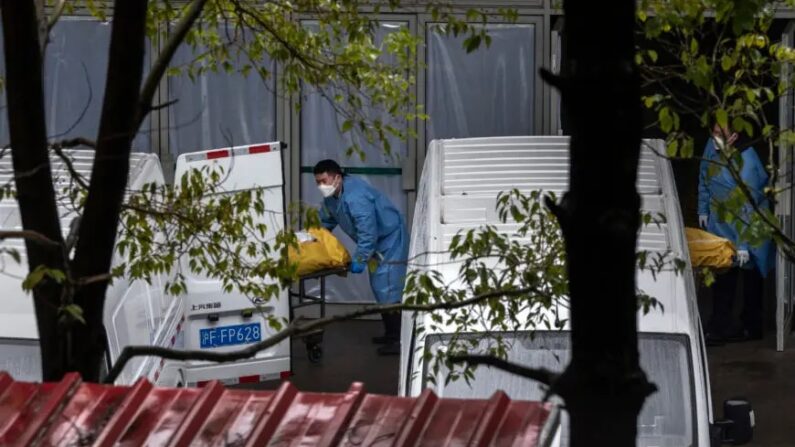 Des employés de pompes funèbres chargent des corps dans des fourgons pour les emmener au crématorium à Shanghai, le 13 janvier 2023. (Kevin Frayer/Getty Images)