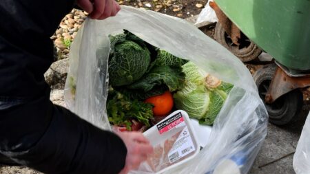L’UE veut s’attaquer au gaspillage alimentaire, avec des objectifs contraignants pour 2030