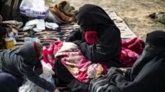 Paris a rapatrié 10 femmes et 25 enfants des camps de prisonniers jihadistes en Syrie