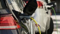 Voitures électriques: embouteillage aux bornes de recharge pour les départs en vacances