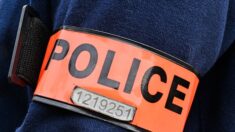 La police saisit 220 kg de drogue dans une voiture à Marseille lors d’un contrôle de routine