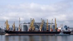 Moscou décide de ne pas reconduire l’accord céréalier, Kiev frappe le pont de Crimée