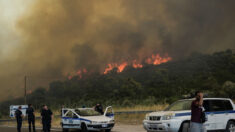 Multiples incendies en Grèce : «journée difficile» pour les pompiers