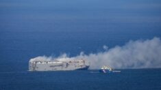 Incendie sur le cargo au large des Pays-Bas, le remorquage est en cours
