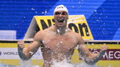 Mondiaux de natation: Maxime Grousset décroche la médaille d’or sur le 100m papillon