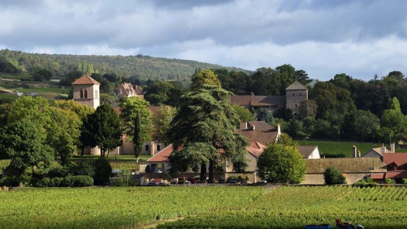 Les vignobles et le village bourguignon de Gevrey-Chambertin. (Photo ERIC FEFERBERG/AFP via Getty Images)
