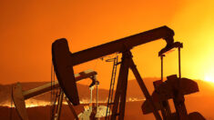 L’Arabie Saoudite et la Russie limitent leur offre pétrolière
