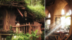 Une passionnée de Tolkien construit la « maison du hobbit » recouverte de végétation dans une forêt – elle y vit