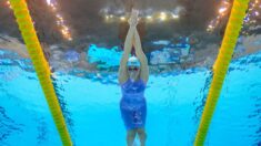 Mondiaux de natation: cinq sur six pour les Bleus en séries