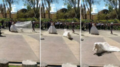 Un chien espiègle vole le voile de la mariée en sautant au travers lors d’une séance de photos de mariage