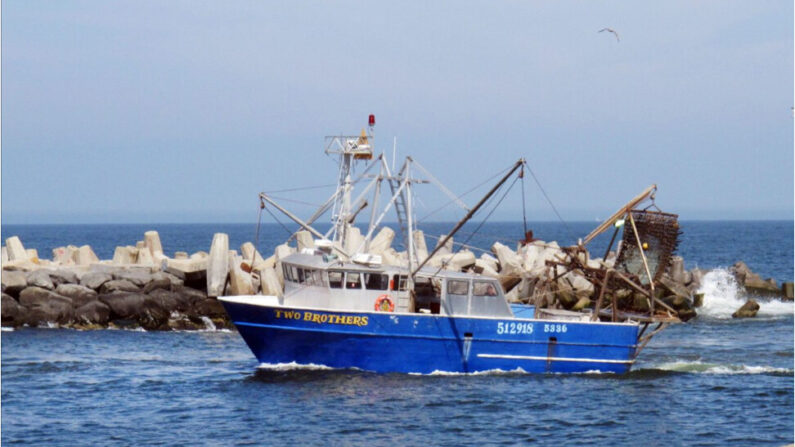 Sur cette photo d'archive du 4 mai 2012, un bateau de pêche commerciale de coquilles Saint-Jacques entre dans le bras de mer de Manasquan à Point Pleasant, New Jersey (Wayne Parry/AP Photo)