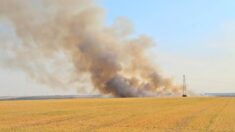 Avec son tracteur, un agriculteur parvient à freiner un incendie dans le champ de son voisin (vidéo)