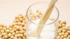 Isoflavones de soja : cancérogènes ou anticancéreux ? Les bienfaits du lait de soja révélés