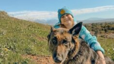 Une famille sauve un chien dont on a diagnostiqué un cancer, 30 minutes avant qu’il ne soit euthanasié