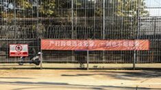 L’escroquerie du « dépeçage de cochon » qui menace les internautes du monde entier pourrait avoir des liens avec le PCC, selon un expert