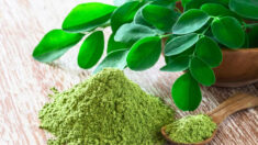 Moringa: que peut faire cette «plante miracle» pour vous?