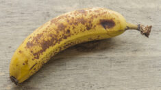 Les bananes pourraient être menacées d’extinction