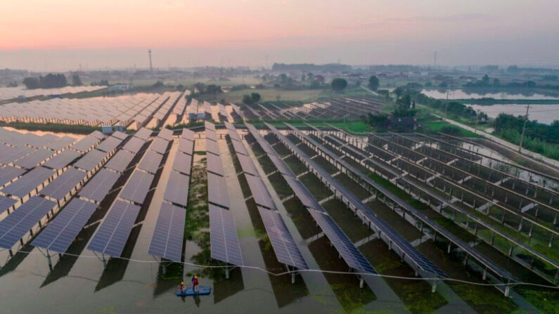 Des ouvriers inspectent des panneaux solaires au petit matin à la base de production d'énergie photovoltaïque complémentaire fishing-solar de Taizhou, dans la province chinoise du Jiangsu (est), le 12 juillet 2023. (Stringer/AFP via Getty Images)


