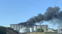 Incendie sur des silos à grain à La Rochelle, le site évacué