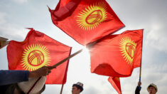 Le Kirghizstan a annoncé interdire TikTok en vue de protéger la santé des enfants
