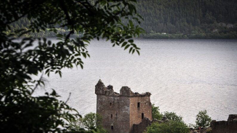 Le château d'Urquhart est vu à travers les arbres à côté du Loch Ness à Drumnadrochit, en Écosse, le 5 septembre 2019.
(crédit photo ANDY BUCHANAN/AFP via Getty Images)