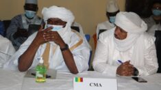 Mali: l’ex-rébellion touareg impute à l’armée et à Wagner, une attaque ayant tué deux de ses hommes
