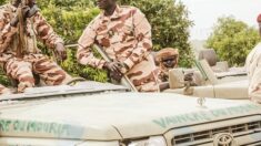 Les Émirats renforce la lutte antiterroriste au Tchad en leur livrant des véhicules militaires