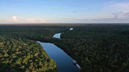 Sommet sur l’Amazonie: une «alliance» contre la déforestation, mais peu d’annonces concrètes