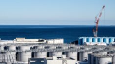 Rejet en mer de l’eau contaminée par la centrale nucléaire de Fukushima prévu jeudi