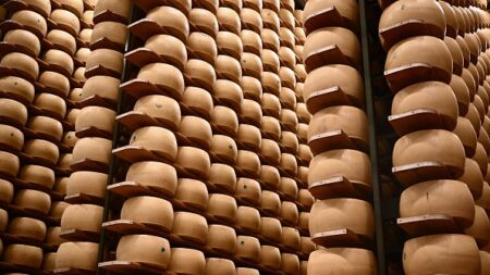 Un Italien meurt écrasé sous des meules de fromages