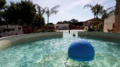 Un enfant de six ans retrouvé noyé dans la piscine d’un camping des Pyrénées-Orientales
