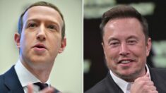 Elon Musk: un site romain « antique et épique » pour un éventuel combat face à Mark Zuckerberg