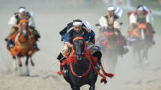 Japon: 111 chevaux victimes d’insolation lors d’un festival traditionnel