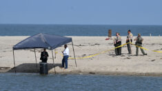 Un corps sans vie retrouvé dans un baril de 200 litres sur la plage de Malibu en Californie