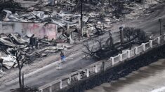 Pourquoi tant de personnes et de maisons ont-elles péri dans les incendies de Maui?