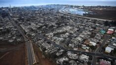 Les pires incendies à Hawaï font plus de 50 morts, un bilan qui devrait s’alourdir