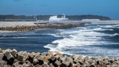 Rejet des eaux de Fukushima: les premiers contrôles de radioactivité sont satisfaisants